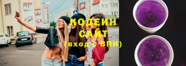 гидра Абаза