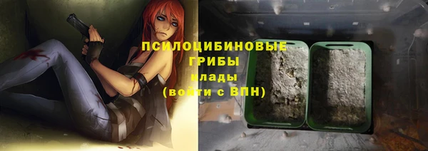 прущая мука Алзамай
