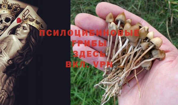 гидра Абаза