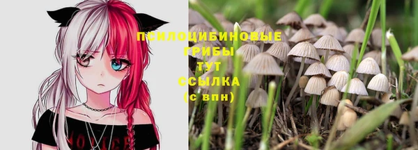прущая мука Алзамай